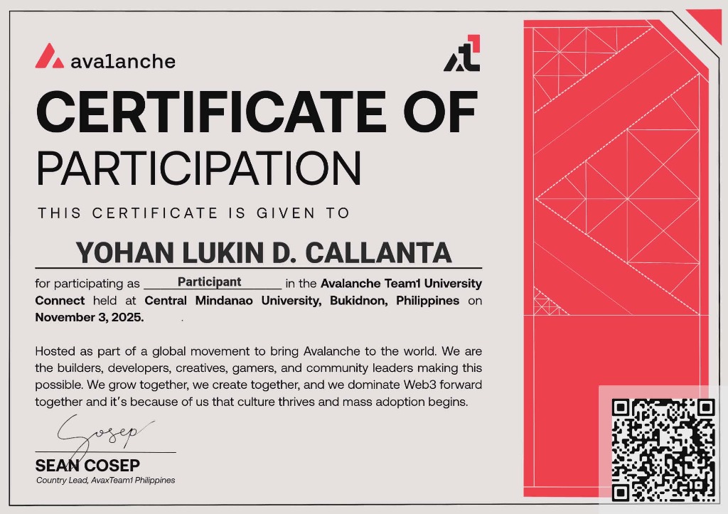 Avalanche Team1 participation certificate